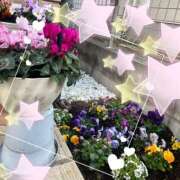 ヒメ日記 2026/01/01 05:11 投稿 めぐ 熟女の風俗最終章 本厚木店