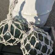 ヒメ日記 2026/01/17 11:06 投稿 めぐ 熟女の風俗最終章 本厚木店