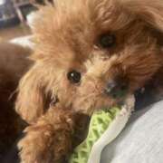 ヒメ日記 2026/03/31 11:41 投稿 めぐ 熟女の風俗最終章 本厚木店