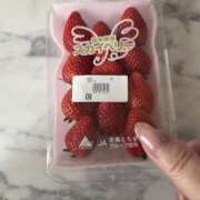 ヒメ日記 2026/04/01 07:51 投稿 めぐ 熟女の風俗最終章 本厚木店