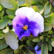 ヒメ日記 2025/02/21 18:25 投稿 メイサ アロマリラックスリゾート 甲府店