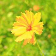 ヒメ日記 2025/02/22 21:10 投稿 メイサ アロマリラックスリゾート 甲府店