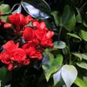 ヒメ日記 2025/03/19 17:57 投稿 メイサ アロマリラックスリゾート 甲府店