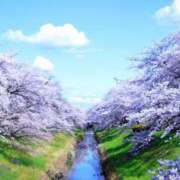 ヒメ日記 2025/04/11 13:46 投稿 メイサ アロマリラックスリゾート 甲府店