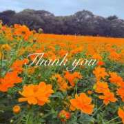 ヒメ日記 2025/10/24 18:57 投稿 姫川 あなたに逢いたくて