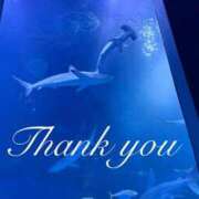 ヒメ日記 2025/11/12 19:37 投稿 姫川 あなたに逢いたくて