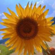 ヒメ日記 2025/01/07 01:03 投稿 さな エンジェルハンズ