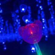 ヒメ日記 2025/02/05 23:54 投稿 さな エンジェルハンズ