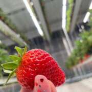 ヒメ日記 2025/02/25 22:48 投稿 さな エンジェルハンズ