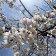 ヒメ日記 2025/04/07 22:28 投稿 さな エンジェルハンズ