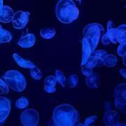 ヒメ日記 2025/04/07 22:45 投稿 さな エンジェルハンズ