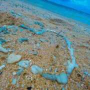 ヒメ日記 2025/04/09 20:45 投稿 さな エンジェルハンズ