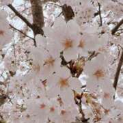 ヒメ日記 2025/03/30 11:12 投稿 いおり【FG系列】 アロマdeフィーリングin横浜（FG系列）