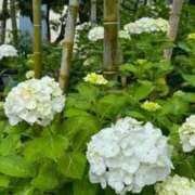 ヒメ日記 2025/06/10 08:20 投稿 いおり【FG系列】 アロマdeフィーリングin横浜（FG系列）