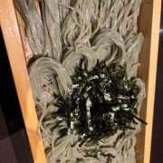 ヒメ日記 2025/04/24 14:03 投稿 せら 渋谷じゃっくす