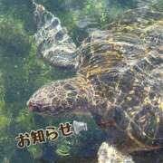 ヒメ日記 2025/10/11 02:05 投稿 せら 渋谷じゃっくす