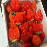 ヒメ日記 2026/02/19 13:08 投稿 せら 渋谷じゃっくす