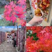 ヒメ日記 2024/12/12 11:38 投稿 あいさ CLUBドレミ