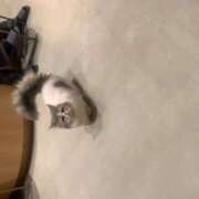 ヒメ日記 2025/02/09 18:34 投稿 あいさ CLUBドレミ