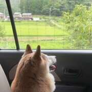 ヒメ日記 2025/08/13 16:30 投稿 あいさ CLUBドレミ