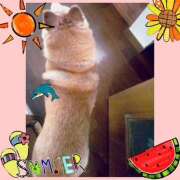 ヒメ日記 2025/09/04 05:30 投稿 あいさ CLUBドレミ