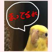 あいさ 今週は。 CLUBドレミ