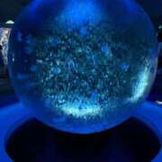 ヒメ日記 2025/04/06 22:53 投稿 理玖【りく】 輝女