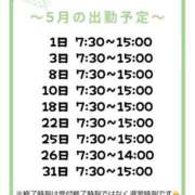 ヒメ日記 2025/04/17 12:16 投稿 理玖【りく】 輝女