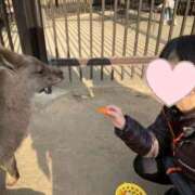 ヒメ日記 2026/01/20 12:15 投稿 理玖【りく】 輝女