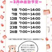 ヒメ日記 2026/02/01 20:15 投稿 理玖【りく】 輝女