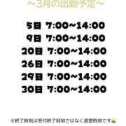 ヒメ日記 2026/03/02 12:16 投稿 理玖【りく】 輝女