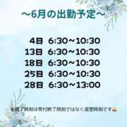ヒメ日記 2026/05/19 20:32 投稿 理玖【りく】 輝女