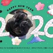 すみれ Happy New Year😊 ドマーニ