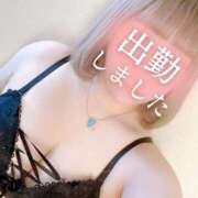 ヒメ日記 2025/02/12 14:23 投稿 みさき 所沢東村山ちゃんこ