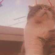 ヒメ日記 2025/02/24 17:09 投稿 みつは 奥様はエンジェル　立川店