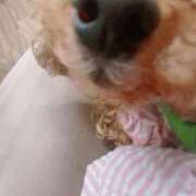 ヒメ日記 2025/07/16 17:52 投稿 みつは 奥様はエンジェル　立川店