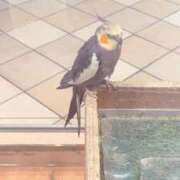 ヒメ日記 2025/08/05 11:41 投稿 みつは 奥様はエンジェル　立川店