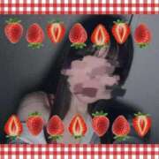 ヒメ日記 2025/02/16 20:08 投稿 めい ミルキーパイ