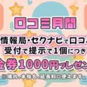 ヒメ日記 2025/06/04 07:15 投稿 めい ミルキーパイ