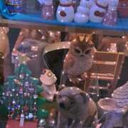 ヒメ日記 2025/11/02 18:05 投稿 めい ミルキーパイ