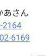 ヒメ日記 2023/11/16 16:20 投稿 本上 横浜おかあさん