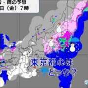 ヒメ日記 2024/03/06 13:05 投稿 本上 横浜おかあさん