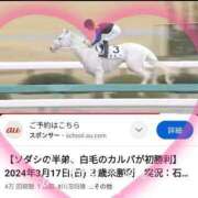 ヒメ日記 2024/03/22 11:45 投稿 本上 横浜おかあさん