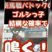 ヒメ日記 2024/07/03 12:35 投稿 本上 横浜おかあさん