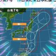 ヒメ日記 2024/08/13 15:55 投稿 本上 横浜おかあさん