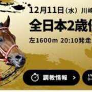 ヒメ日記 2024/12/11 13:35 投稿 本上 横浜おかあさん