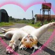 ヒメ日記 2024/12/11 16:15 投稿 本上 横浜おかあさん