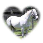 ヒメ日記 2024/12/14 15:25 投稿 本上 横浜おかあさん