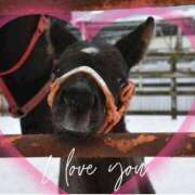 ヒメ日記 2024/12/15 23:35 投稿 本上 横浜おかあさん