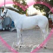 ヒメ日記 2024/12/17 11:44 投稿 本上 横浜おかあさん